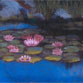 Water Lily Reflections