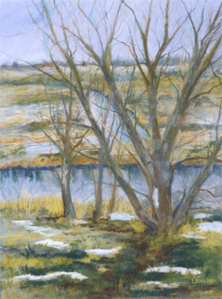 Prospect Ponds 2