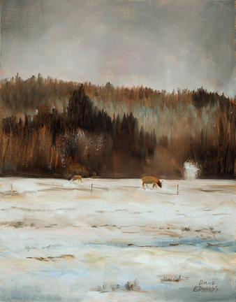 Elk Grazing