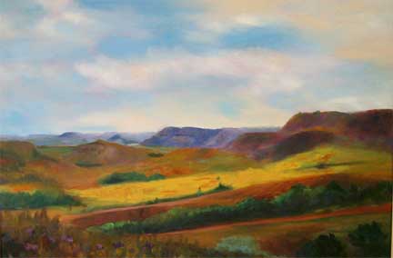South Medora Vista