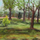 Namaqua Park, Loveland in Spring
