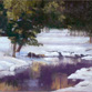 Serene Reflections