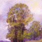 Tree in the Meadow