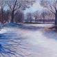 Winter Shadows