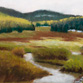 Early Spring in Wyoming