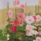 Hollyhocks