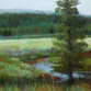 Poudre River at the Source
