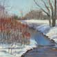Winter on the Big Thompson